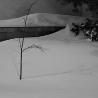 Одно :: Сергей Матвеенко