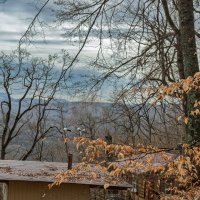 В горах в лесу :: Игорь Сикорский