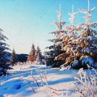 Февральская красота :: Людмила Смородинская