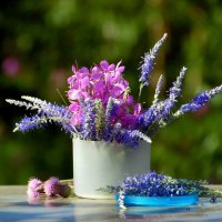 Полевые цветы. :: nadyasilyuk Вознюк Полевые цветы. :: nadyasilyuk Вознюк