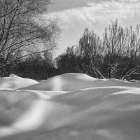 Зима в Ботаническом :: Владимир Нефедов