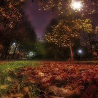 На бульваре. :: Владимир Владимир