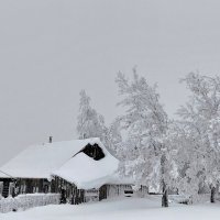 Белогорье :: Лариса С.