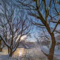 Прогулка в зимний день :: Анастасия Логинова Прогулка в зимний день :: Анастасия Логинова