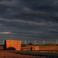 После сбора урожая :: Valziwa 