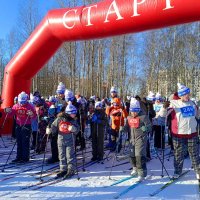 На старте дети :: Мария Васильева