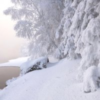 Морозный берег реки :: Марина Фомина.