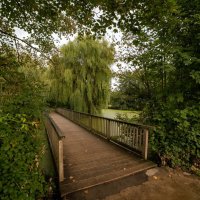 Старый мостик... :: Николай Гирш