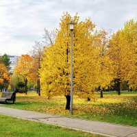 Осенняя зарисовка :: Юрий Шувалов