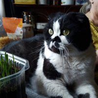 *** :: Валентина Береснева