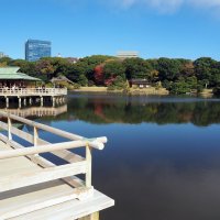 Прогулка по Токио :: Civetta ***