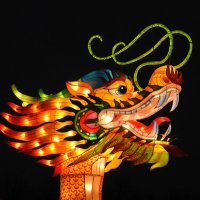 Китайский Новый год :: ИННА ПОРОХОВА Китайский Новый год :: ИННА ПОРОХОВА