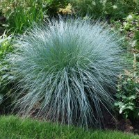 *** :: МАРИЯ ПОПОВА