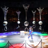 Цирковое представление :: Елена Сухорученкова