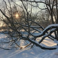 Петергоф. Ольгин пруд :: Наталья Герасимова