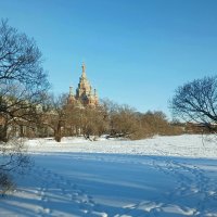 Петергоф :: Наталья Герасимова Петергоф :: Наталья Герасимова