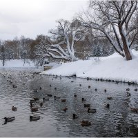 В городском парке :: Валентин Котляров
