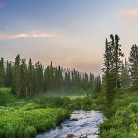 Горная тайга ранним утром :: Владимир Кириченко