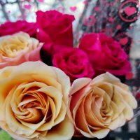 Розы :: Наталья (ShadeNataly) Мельник Розы :: Наталья (ShadeNataly) Мельник