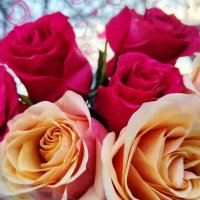 Розы :: Наталья (ShadeNataly) Мельник