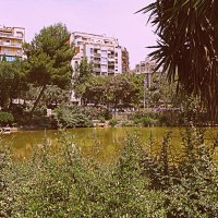 Барселона. :: Владимир Драгунский Барселона. :: Владимир Драгунский