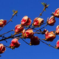 Доброе утро :: Юрий. Шмаков