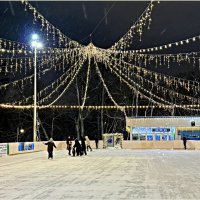 В парке на катке. :: Валерия Комова В парке на катке. :: Валерия Комова
