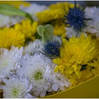 Так хочется Весны но сейчас всего лишь Новый 4723 год по Китайскому календарю) :: Sergey (Apg)