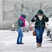 СНЕГОПАД... :: Elvira E.