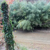 Южная осень :: Мишель71