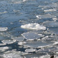 Природа в зимнем наряде :: Рита Симонова