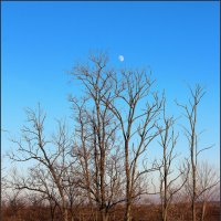 *** :: Александр. AVG100 --- *** :: Александр. AVG100 ---