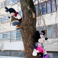 ** :: Сергей Кочнев