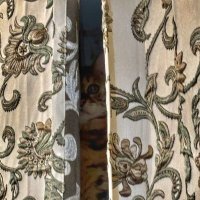 Спрятался :: Irene Irene