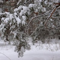 *** :: Александр Николаев