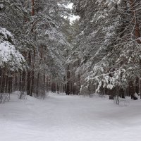 *** :: Александр Николаев