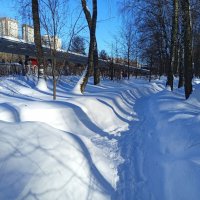 Так тоже можно провожать зиму :: Андрей Лукьянов