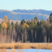 Где-то в Сибири... :: Владилен Панченко