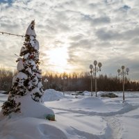 С Новым Китайским Годом! :: Сергей Цветков
