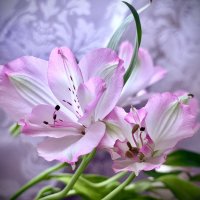 Меняя оттенки… :: Любовь 