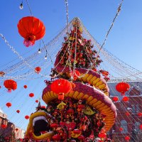 Китайский Новый год :: Ольга 