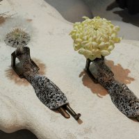 цветики :: Олег Лукьянов