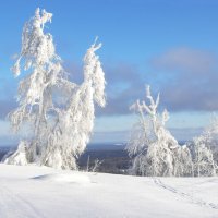 На Белой горе :: Галина Новинская