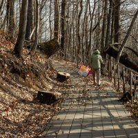 Подъем на гору Фиэиабго к святому источнику, Высота горы 992 метра :: Игорь Сикорский Подъем на гору Фиэиабго к святому источнику, Высота горы 992 метра :: Игорь Сикорский