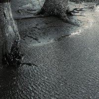 теплый ветер :: Николай Семёнов