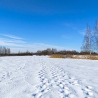 Смоленске озёра. :: Милешкин Владимир Алексеевич Смоленске озёра. :: Милешкин Владимир Алексеевич