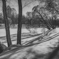 Зима в Ботаническом :: Владимир Нефедов