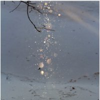 Снежинок хоровод :: Михаил К Снежинок хоровод :: Михаил К