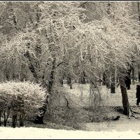 Зимний парк :: Aleksandr Gal