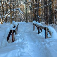 ***** :: юрий поляков ***** :: юрий поляков